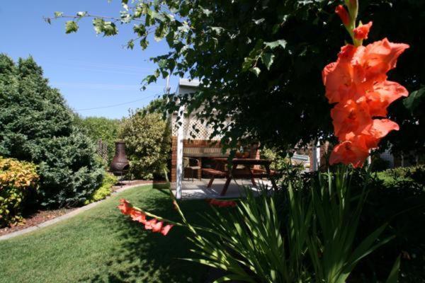 Shearwater Cottages Port Sorell ภายนอก รูปภาพ